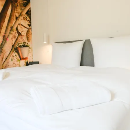 Altes Kelterhaus & Plein By Markus Plein فندق 4*