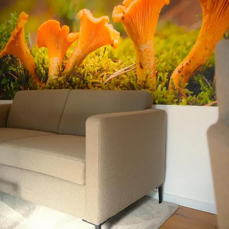 فندق Altes Kelterhaus & Plein By Markus Plein 4*