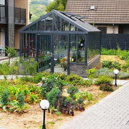 Altes Kelterhaus & Plein By Markus Plein 4*
