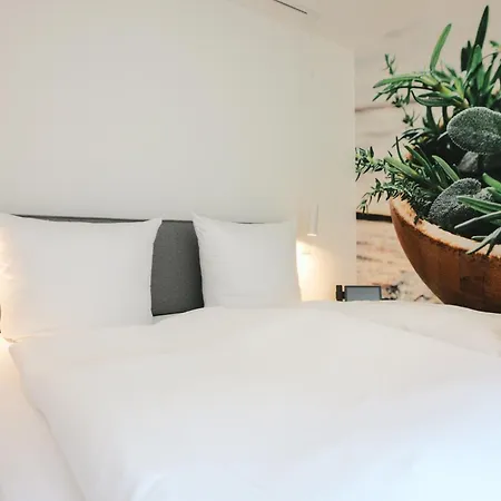 Altes Kelterhaus & Plein By Markus Plein 4*