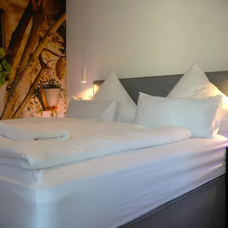 Altes Kelterhaus & Plein By Markus Plein 4*