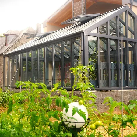 Altes Kelterhaus & Plein By Markus Plein فندق فينتريش