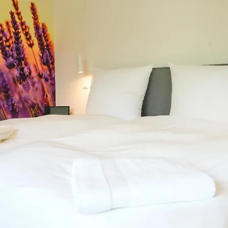 Altes Kelterhaus & Plein By Markus Plein 4*
