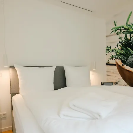 Altes Kelterhaus & Plein By Markus Plein فينتريش