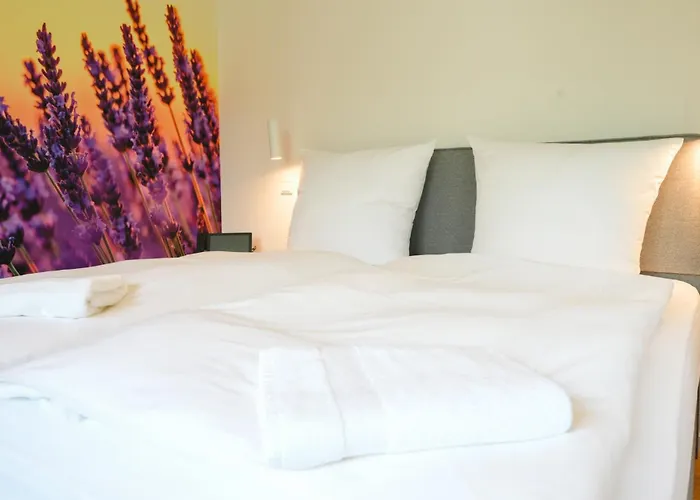 Altes Kelterhaus&plein By Markus Plein